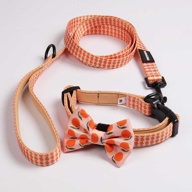 Hot Selling Dog Collar Leash Designer Wholesale Durable Sublimation Luxury Dog Lead And Collar