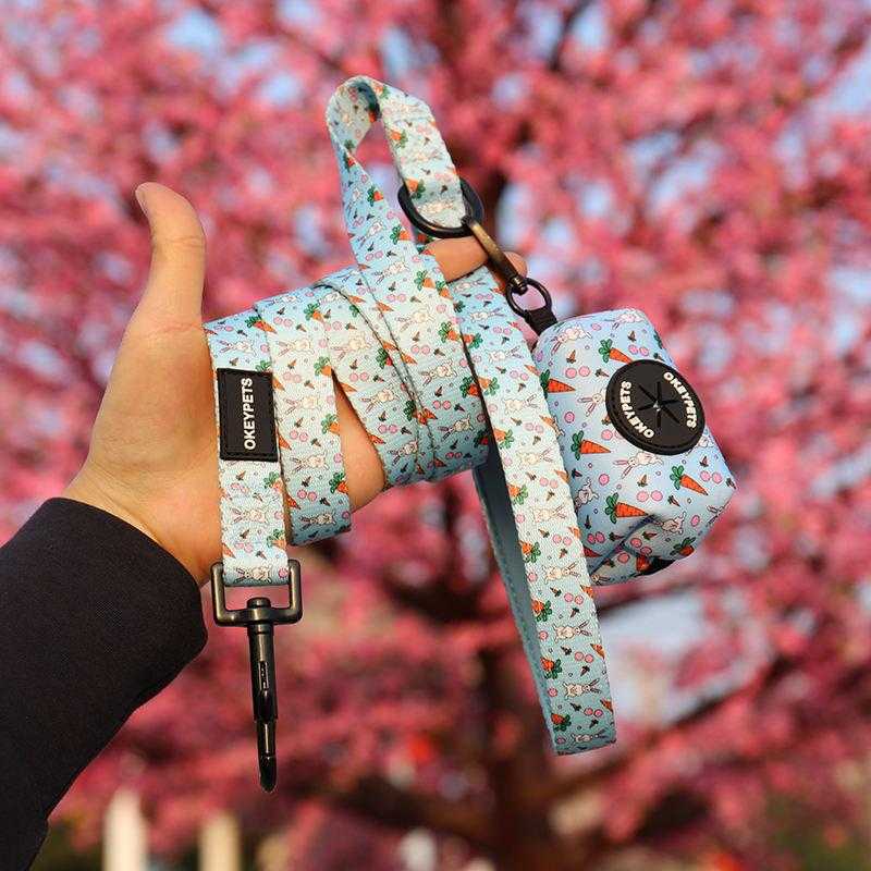 Personalized Outdoor Pet Supply Custom Pattern Absorbing Soft Padded Neoprene Dog Walking Leash