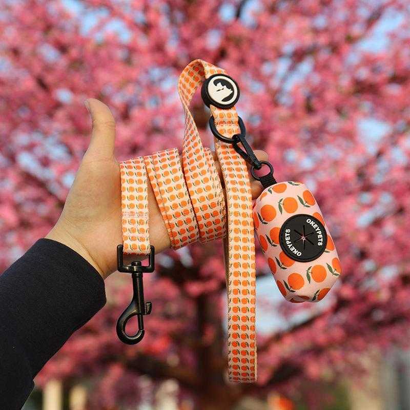 Personalized Outdoor Pet Supply Custom Pattern Absorbing Soft Padded Neoprene Dog Walking Leash