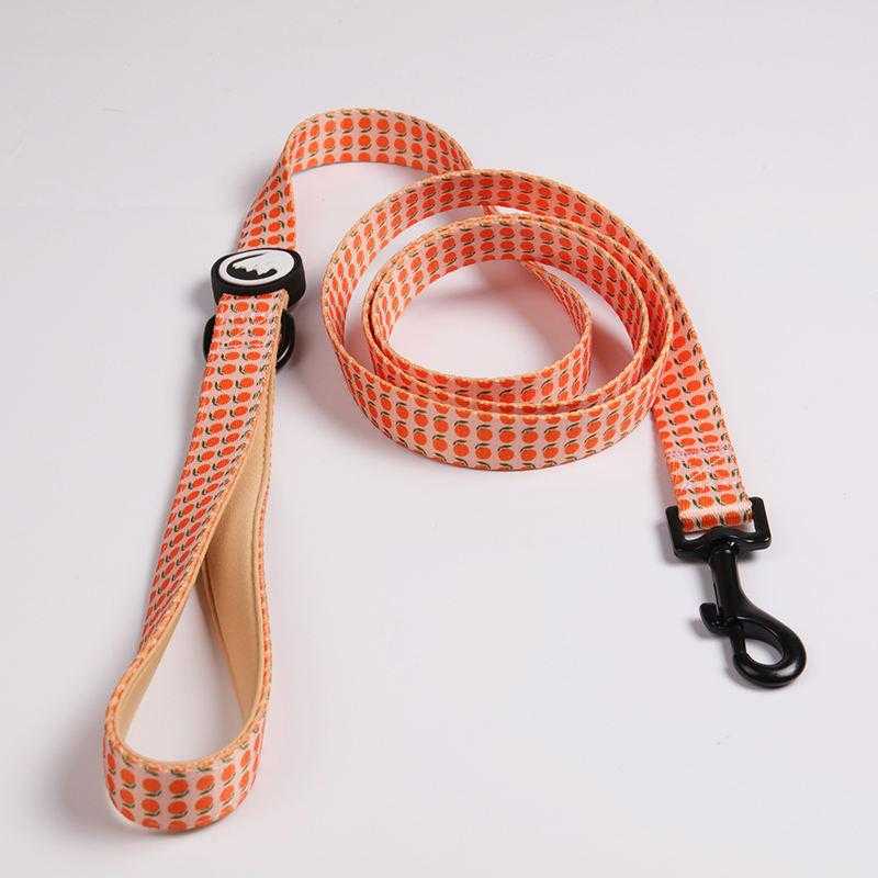 Personalized Outdoor Pet Supply Custom Pattern Absorbing Soft Padded Neoprene Dog Walking Leash