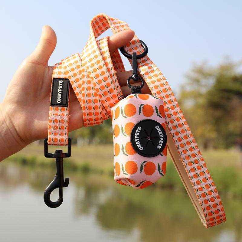 Custom Logo Padded Dog Pet Lead Long Polyester Heated Dog Leash With Poop Bag Holder