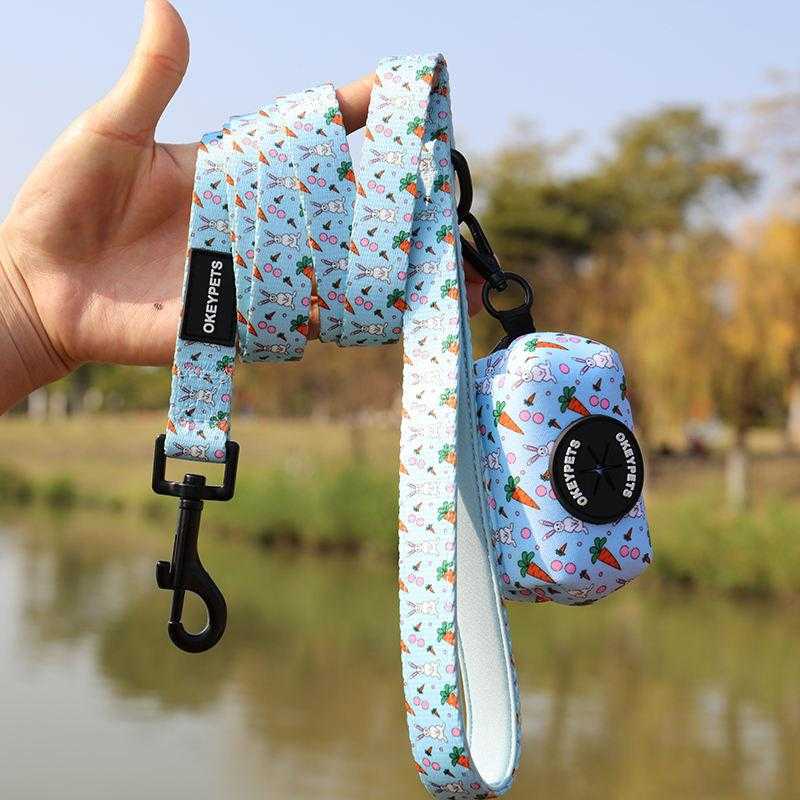 Custom Logo Padded Dog Pet Lead Long Polyester Heated Dog Leash With Poop Bag Holder