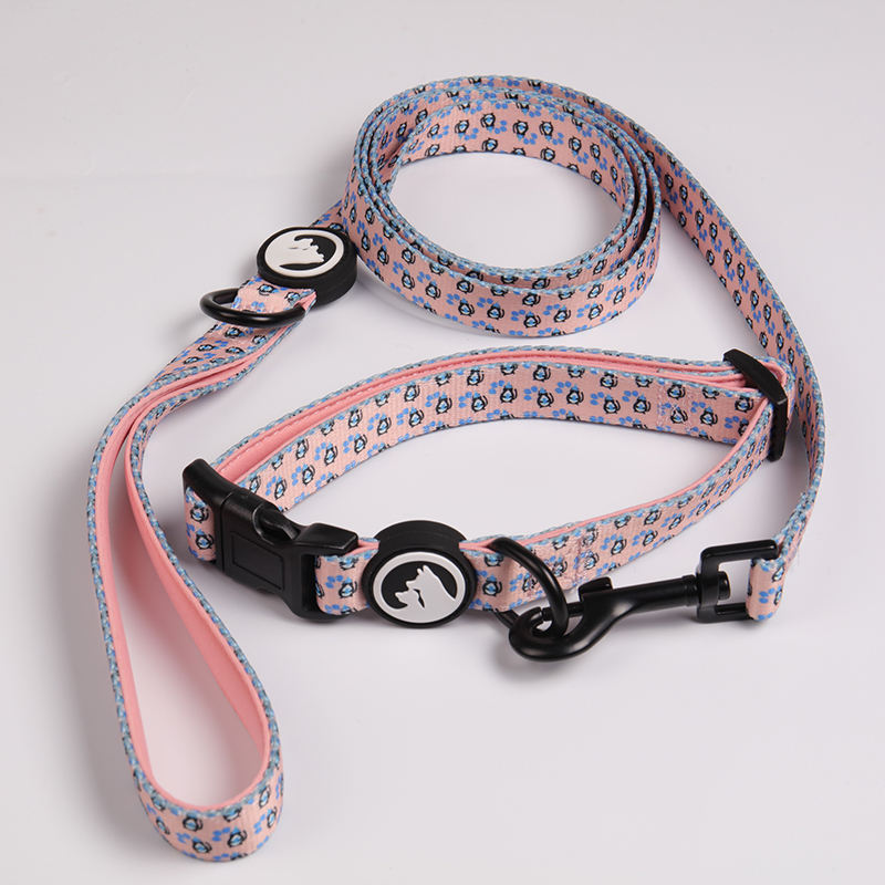 Oem Dog Collar And Leash Set Fashion Luxury Pet Dog Collars Leashes Custom Designer Buckle Dog Collar In Bulk