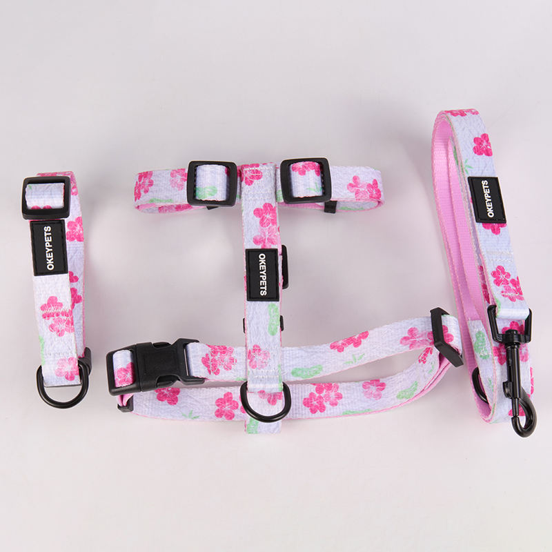 Promotional Oem Pattern Buckle Double Layers Colorful Dog Leash Sublimation And Eco Friendly Dog Poop Bags Holder