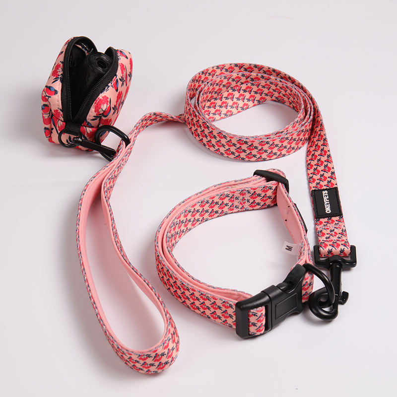 Luxury Custom Designer Pet Dog Collar And Leash Set Walking Lead Leashes Dog Leash Collars Set For Choice