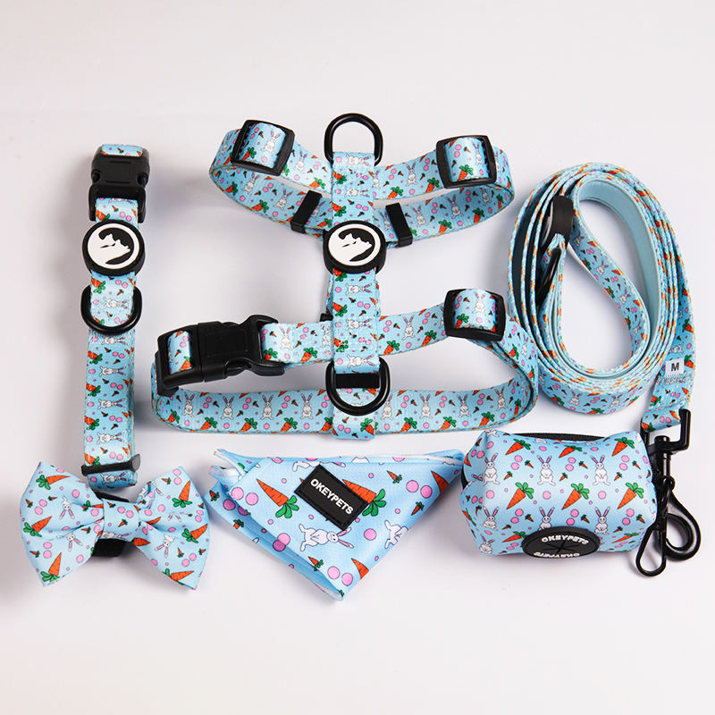Strong Handle Neoprene Padded Personalized Design Durable Multi Function Adjustable Dog Leash