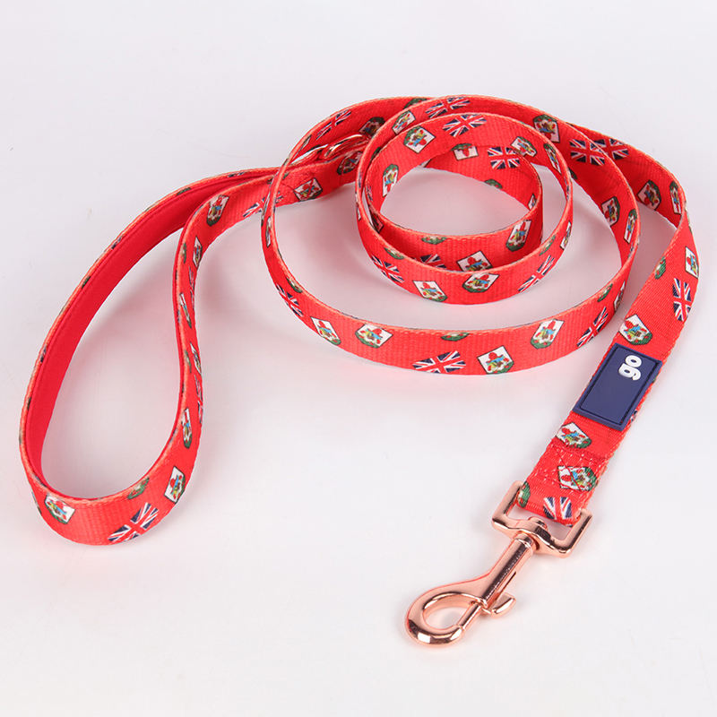 Pattern Customized Adjustable Lengths Safety Eco Friendly Leads Pet Leash Dog Collars Set