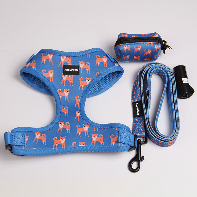No Pull Heavy Duty Pet Lead Polyester Webbing Eco Friendly Long Fashion Dog Leash
