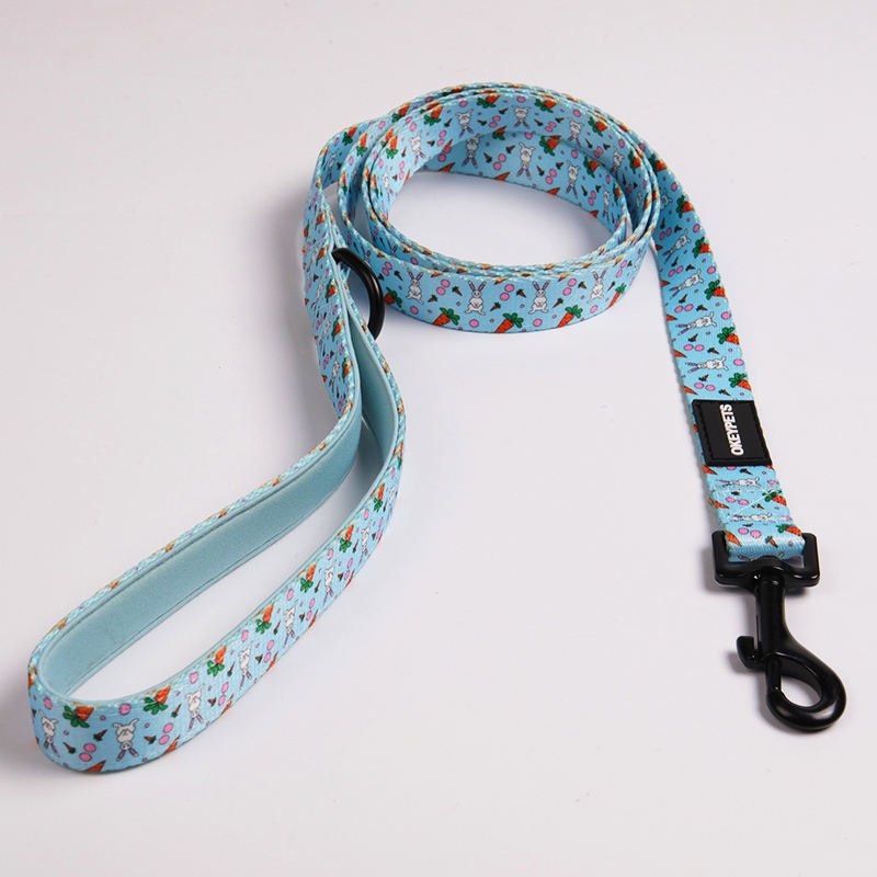 Oem & Odm Fashional Durable Sublimation Dog Leash With Neoprene Padded Handle Poop Bag Holder