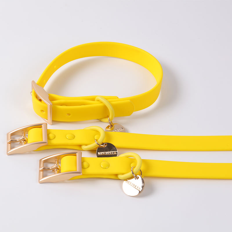 Wholesale Plain Multicolor Pink Yellow Pvc Coated Webbing Collar Waterproof Dog Collar And Leash Set
