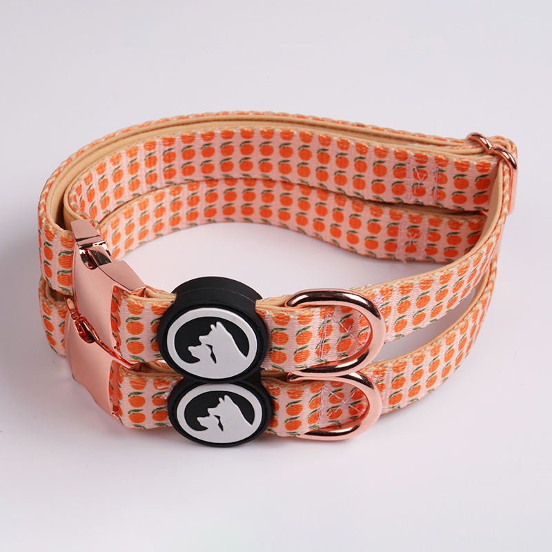 Custom Outdoor Personalized Design Neoprene Strong Dog Collar And Leash Set For Dogs