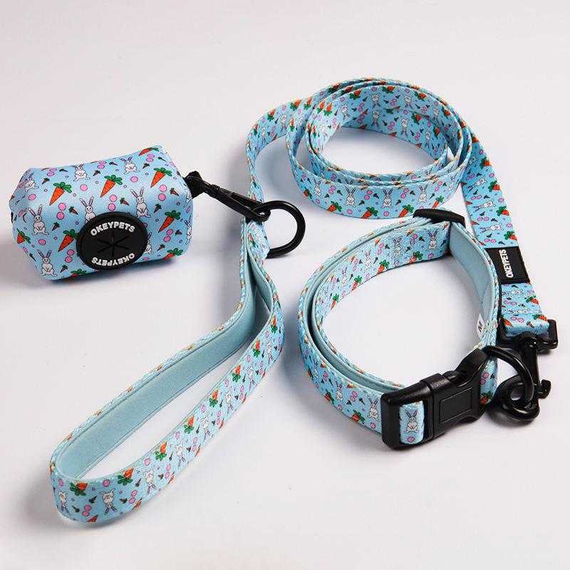 Colorful Comfortable Neoprene Padded Dog Collar Leash Set Adjustable With Durable Metal Buckle And Poop Bag Holder