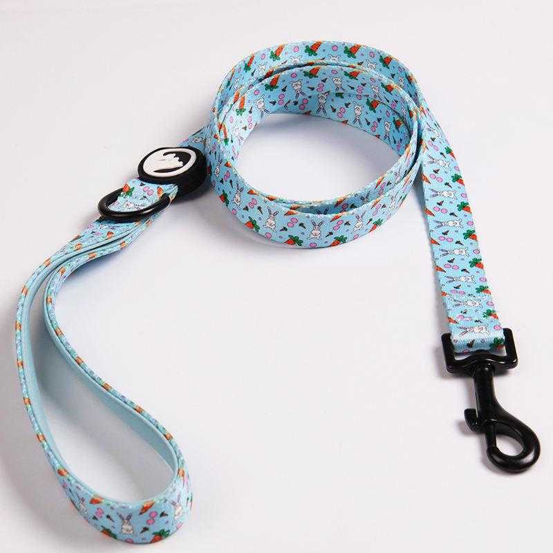 Colorful Comfortable Neoprene Padded Dog Collar Leash Set Adjustable With Durable Metal Buckle And Poop Bag Holder