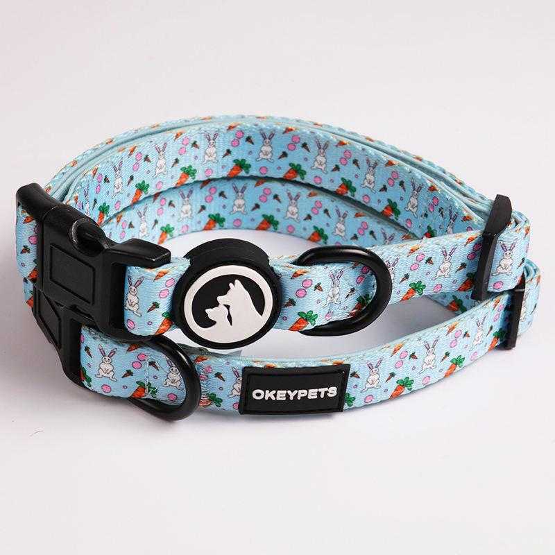 Colorful Comfortable Neoprene Padded Dog Collar Leash Set Adjustable With Durable Metal Buckle And Poop Bag Holder