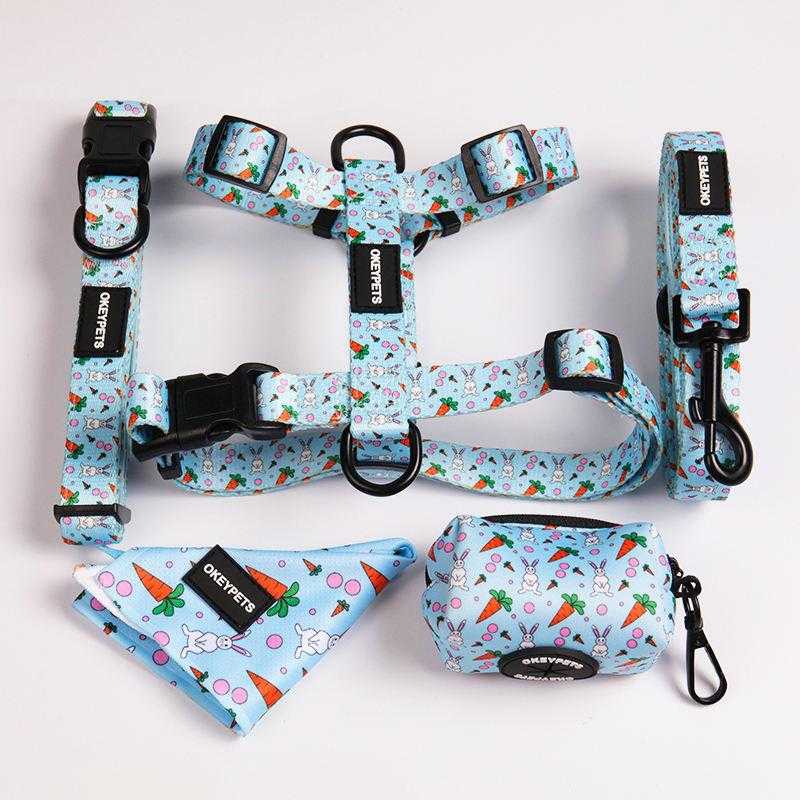 Colorful Comfortable Neoprene Padded Dog Collar Leash Set Adjustable With Durable Metal Buckle And Poop Bag Holder