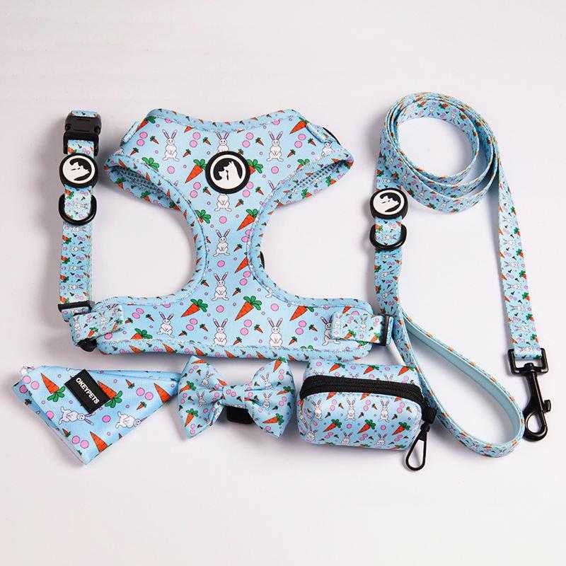 Colorful Comfortable Neoprene Padded Dog Collar Leash Set Adjustable With Durable Metal Buckle And Poop Bag Holder