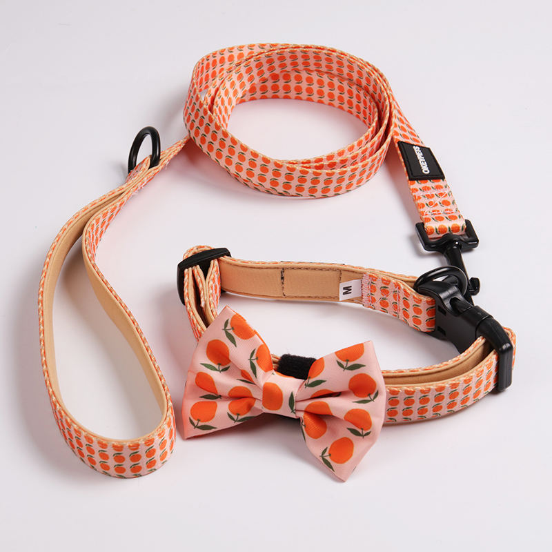 Colorful Comfortable Neoprene Padded Dog Collar Leash Set Adjustable With Durable Metal Buckle And Poop Bag Holder