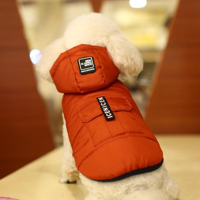 Popular Fashion Autumn Winter New Dog Clothes Two-legged Down Jacket Waterproof Pet Cotton Vest