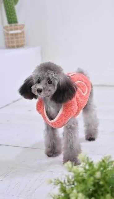 New Style Puppy Cloth Custom Warm Dog Clothes For Fleece Vest For Wholesale