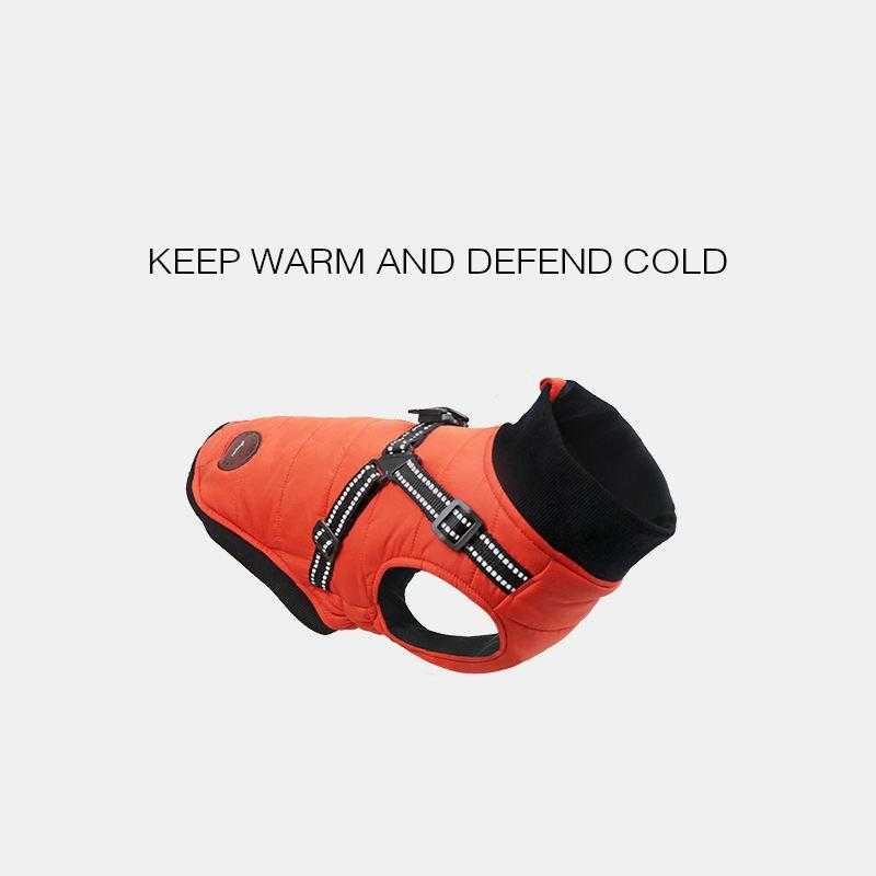 Big Winter Boy Customizable Brand Coat Blank Winter Fashion Dog Training Clothes