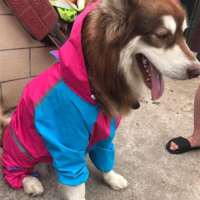 Big Outdoor Eco Friendly New Pet Supplies With Private Label Custom Big Clothing Wholesale Dog Clothes