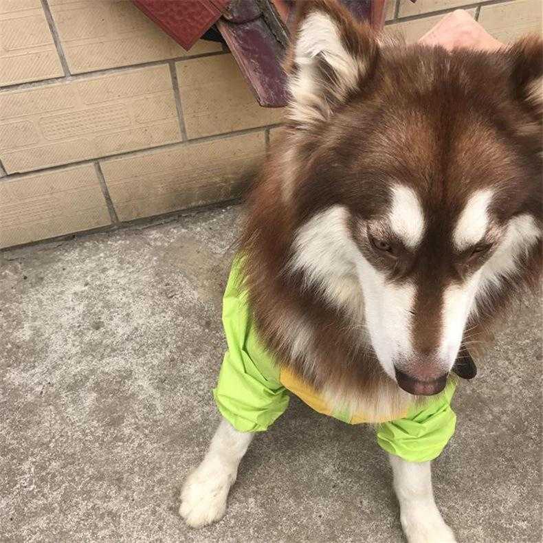 Big Outdoor Eco Friendly New Pet Supplies With Private Label Custom Big Clothing Wholesale Dog Clothes