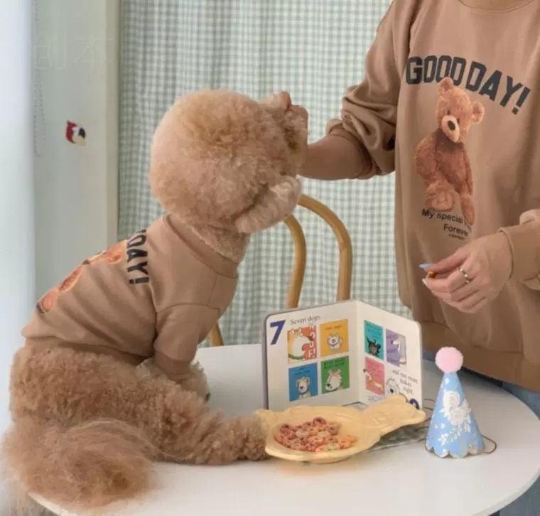 New Design Hot Selling Pet Dog Cat Teddy Bear Cute Clothes Pet Parent-child Suit Supplies Autumn And Winter Warm Clothing