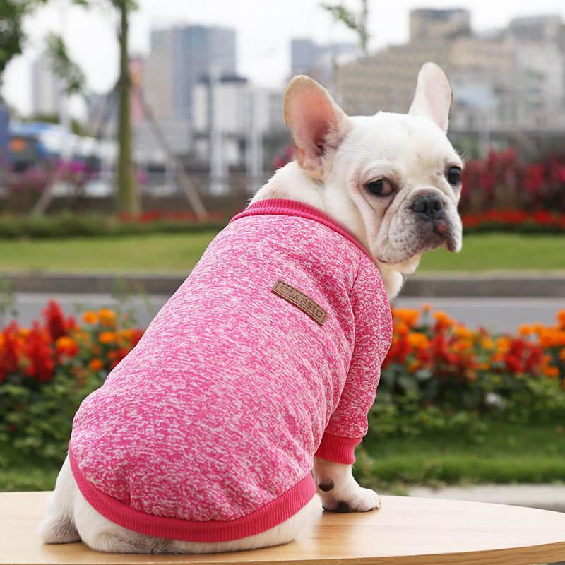 Custom Lovely Blank Dog Clothes For Small Dogs From Hoodie Factory Made In China