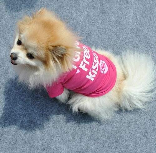 Pet Clothing Cotton New Small Casual Dogs Shirt Clothes For Dog