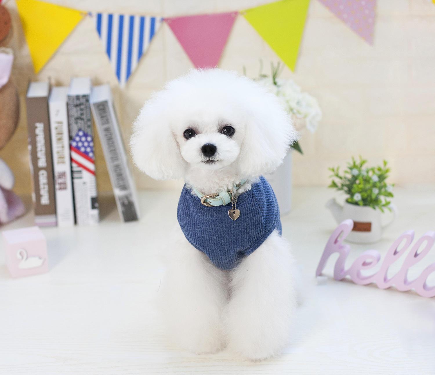 2023 Wholesale Fashion Cool Summer Pet Designer Dog Clothes