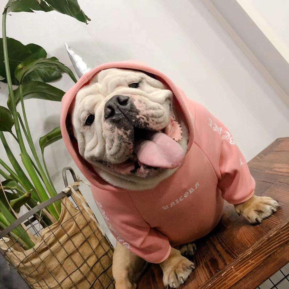 Wholesale Fashion Funny Custom Warm Soft Cotton Pet Clothes Small Dog Sports Sweater Hoodies