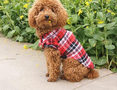 Simple Style Autumn Warm Pet Dog Clothes Small Medium Size Dog Plaid Shirt