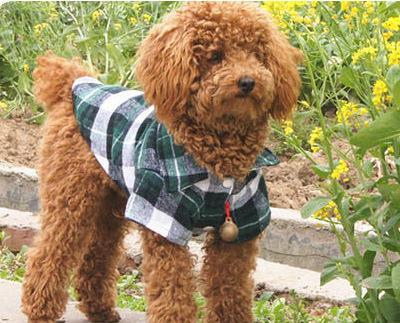Simple Style Autumn Warm Pet Dog Clothes Small Medium Size Dog Plaid Shirt