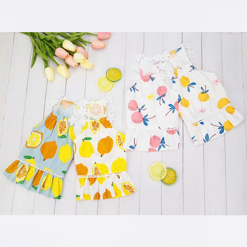 2021 Spring And Summer New Cat Dress Cute Small Dog Clothes