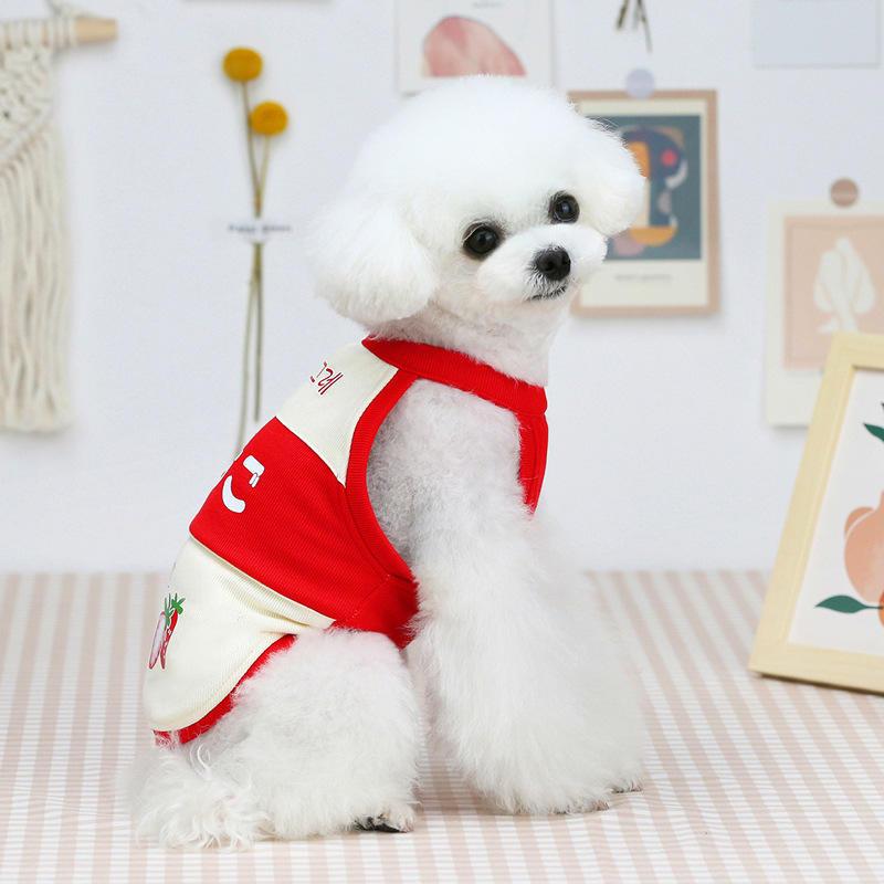 Japanese Fruit T-shirt Wholesale Stylish 2022 Designer Dogs Cloth Pet Clothes