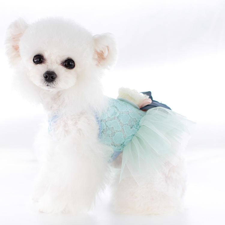 Wholesale China Dog Dress Summer Pet Clothes As Innovative Products For Import