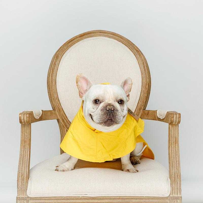 Wholesale Portable Hoodie Waterproof Dog Raincoat