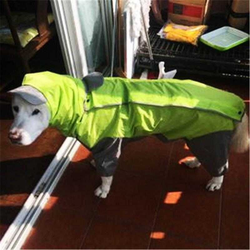 Multicolor Style All Inclusive Waterproof Rain Jumpsuit Large Dog Raincoat