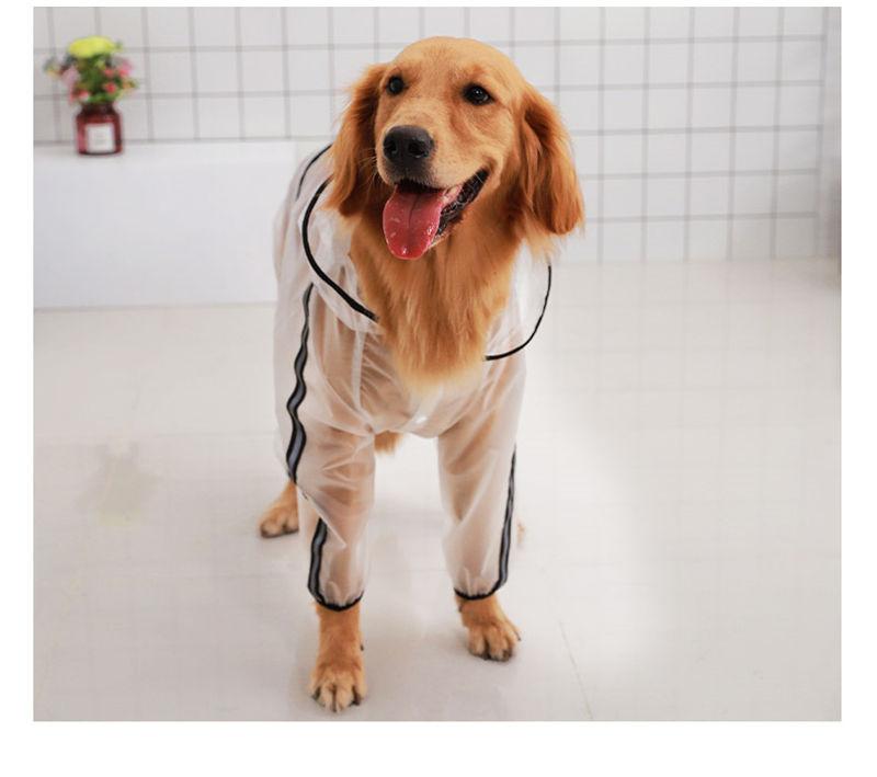 Fashion Dog Transparent Raincoat Light Clothes Waterproof For Golden Retriever Alaskan Shepherd With Hood Raincoat Jacket