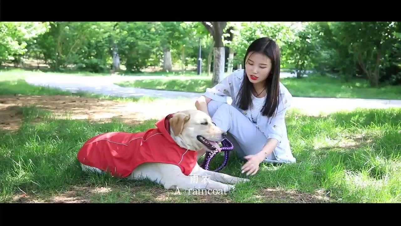 Excellent Quality Fashionable Luxury Waterproof Dog Raincoat