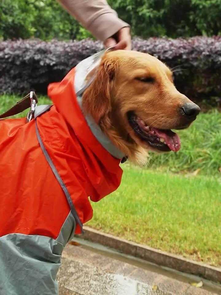 Wholesale Waterproof Big Dog Raincoat Jacket Jumpsuit