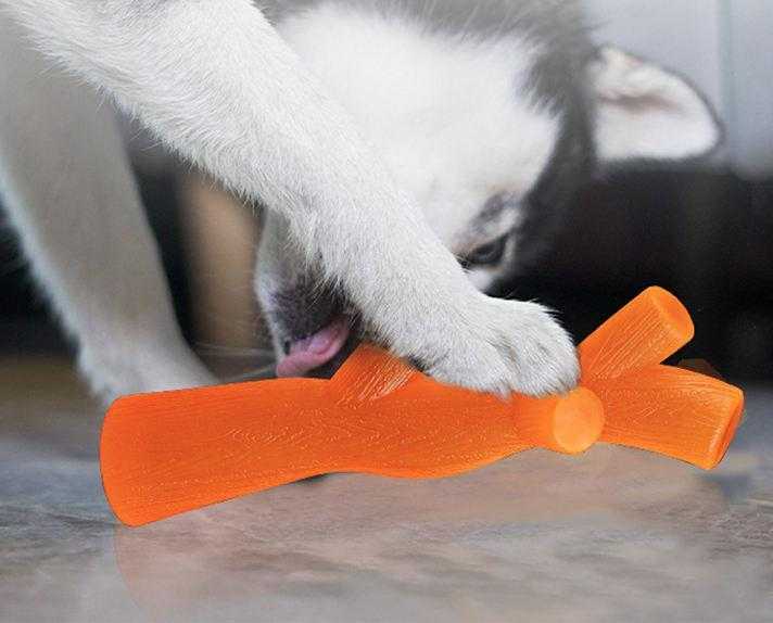 Wholesale Molar Tpr Pet Rubber Dog Toy Interactive High Quality Dog Toys