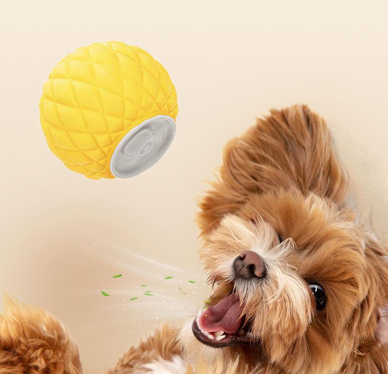 Latex Interactive High Quality Biodegradable Dog Toys Durable Pet Toy