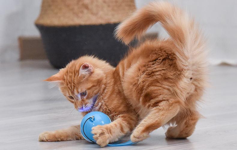 Interactive Cat Toy Ball 360 Degree Anti-break Bite Rotating Pet Cat Toy Ball Cat Fleece Toy For Wholesale