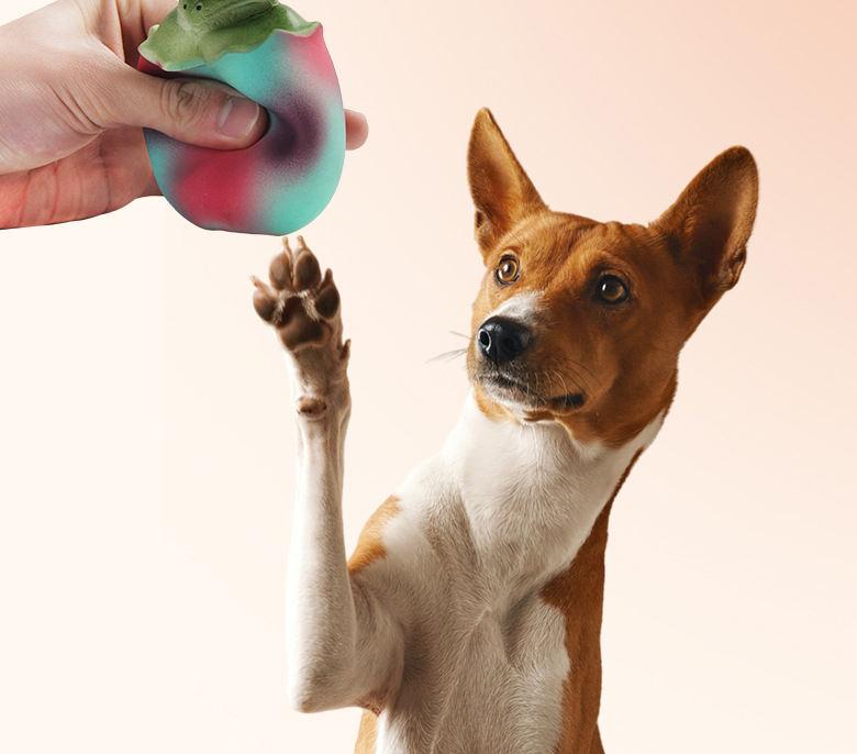 Telescopic Dinosaur Egg Squeaky Interactive Pet Toy Durable Dog Chew Toys