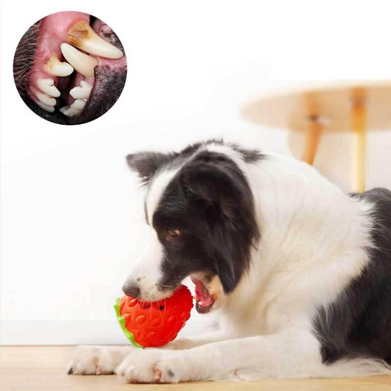 Durable Soft Dog Toy Natural Rubber Squeaky Fruit Shape Pet Chew Fruit Strawberry Chew Feeder Dog Toys