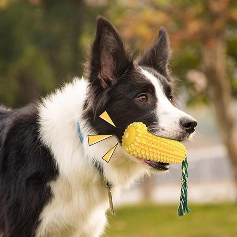 New Pet Products Hot-selling Explosive Corn Sounds Interactive Dog Toys Chew