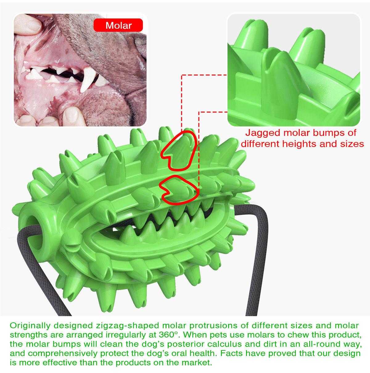 New Hot Selling Double Suction Cup Cactus Molar Rod New Dog Toy