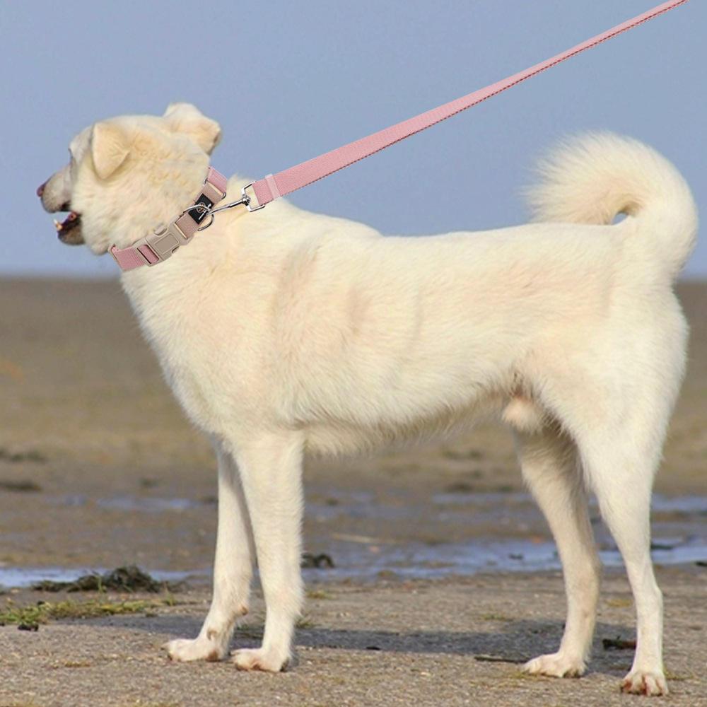 Environmentally Friendly Dog Collar Buckles Wholesale Custom Logo Dog Collar