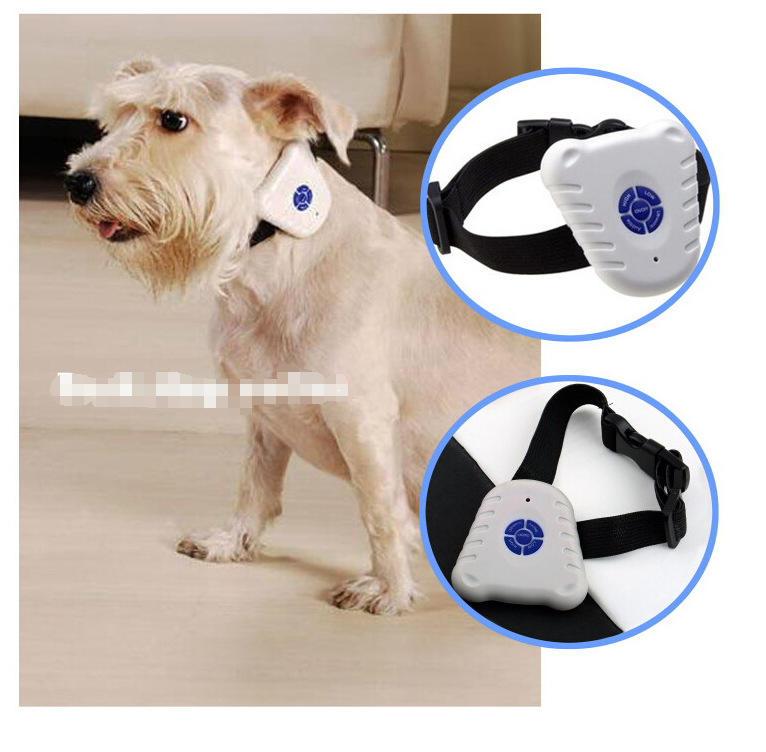 Electric Dog Collar China Dog Beeper Anti Bark Collar